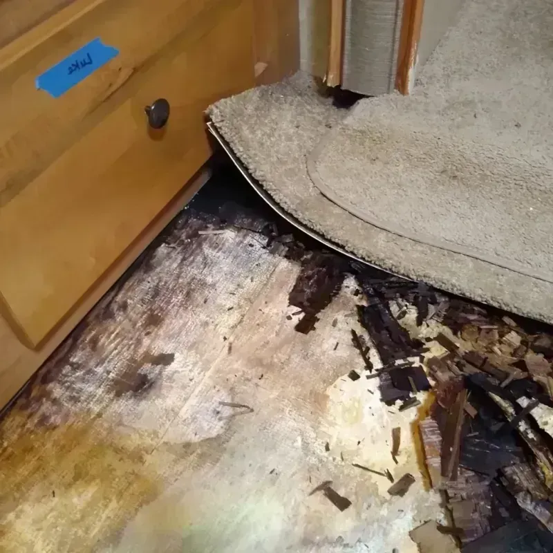 Best Wood Floor Water Damage Service in Shelbyville, TN